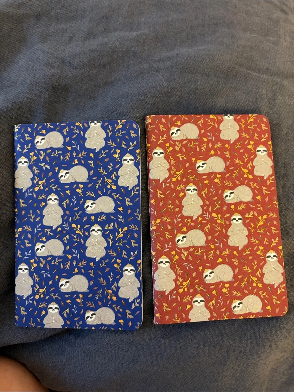 Jotter Sloth Mini Notebooks - set of 2